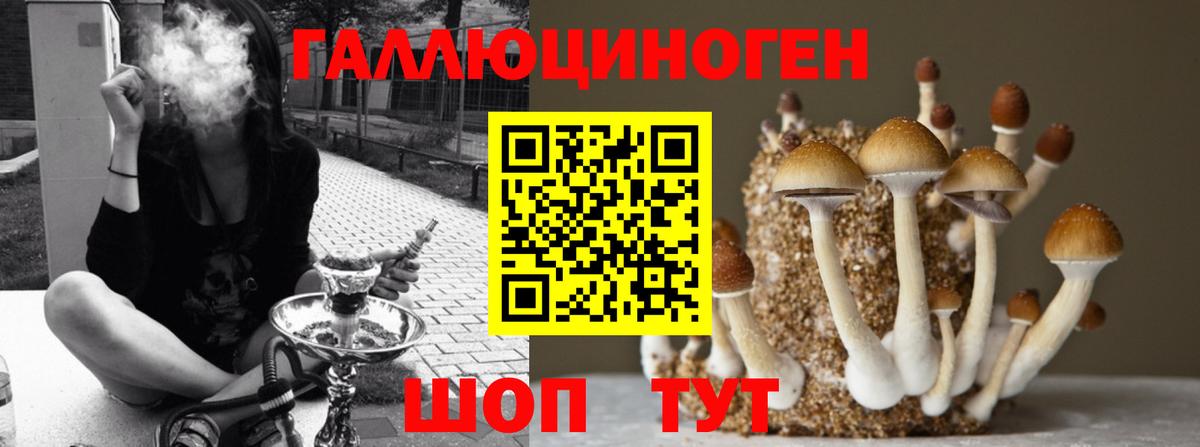Рязань  Галлюциногенные грибы Magic Shrooms  Вход с VPN 